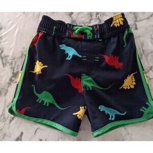 Wonder Nation Boy Infant Baby 3-6M Swim Trunk/Swimsuit Colorful Dinosaurs Pocket